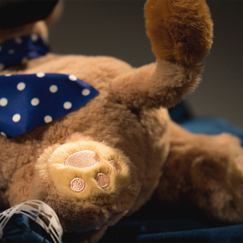 Reverse: 1999 *Party Animal* Regulus Plushie